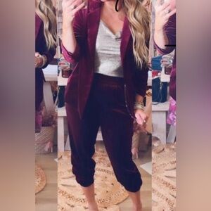 Skies Are Blue Marion Velvet Jogger Pants | Size XS | NWT